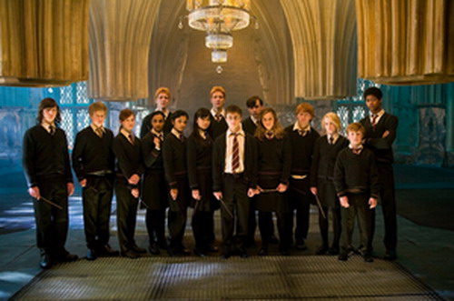 The order of the phoenix - a still from the order of the phoenix,including all the important students. 