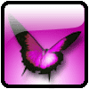 A pretty butterfly  - here is a pretty butterfly to give you a smile.