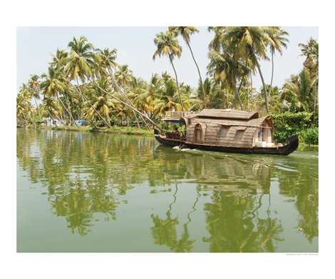 kerala - beautiful scene from kerala