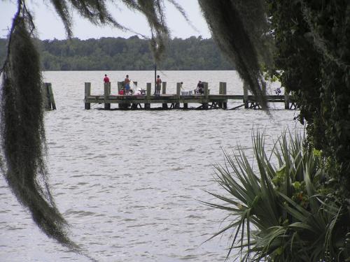 Pier on the river. - The town where I do my grocery shopping is on the St. John's River. This is one of the few rivers in the world that flow north. We have a nice park on the river and I took this picture of some of the fishermen. Pier on the river. - The town where I do my grocery shopping is on the St. John's River. This is one of the few rivers in the world that flow north. We have a nice park on the river and I took this picture of some of the fishermen.