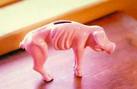 Creepy Emaciated Piggy Bank - Creepy Emaciated Piggy Bank that I found. It gives me shivers to look at it. 