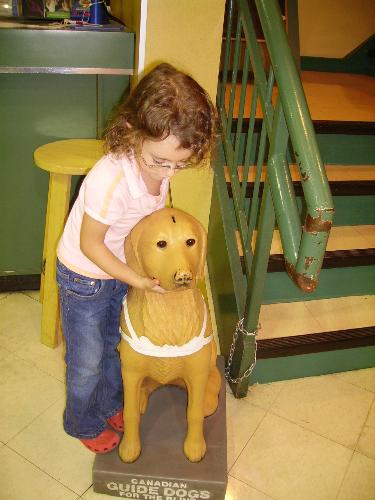 seeing eye dog - my daughter loves feeding money to the seeing eye dog at the store and begged me to take a picture of her with it.