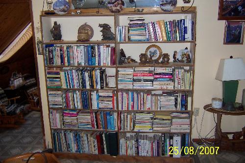 Photo of book, owl and butterfly collectibles - Photo of my downsized library. I used to be more of a collector of books for the sake of collecting. Now only add to my book collection when I absolutely 'have' to have it. This photo also shows a few more owl and butterfly collectibles in our dining room area.
