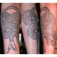 Snake tat by Steve Heffernan - Tattoo by Steve Heffernan who works at Cowvoodoo Tattoo & Art Gallery in W Bridgewater MA Cowvoodoo.com