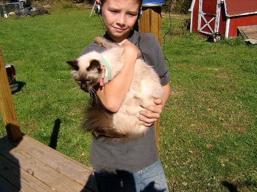 Zack and LuLu - Zack and my himalayan, Lulu.