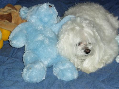Yum Yum - Yum Yum loves her teddy.