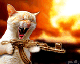 Cat gone crazy - Love the avatar had to ad it