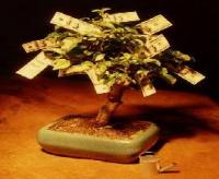 financially independent - financially independentfinancially independentfinancially independent