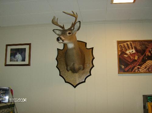 my hunney&#039;s big buck - this is the big buck that my hunney got when he was hunting in the woods before.