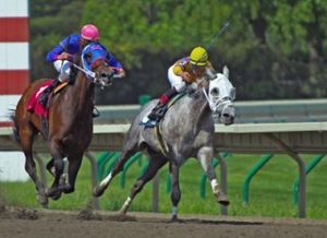 Photo of a Horse Race - image of horse racing