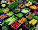 vegetbles - a big variety of vegetables