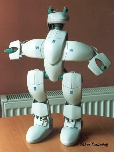 Standard Info Technologies - funny images - fun pictures  by designersiva standardinfotechnologies