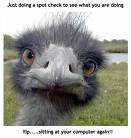 Funny Picture - Funny animal,