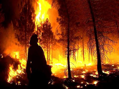 Greece Inferno - Greece under fire by suspected arsonists. Is it a terrorist attack/act???