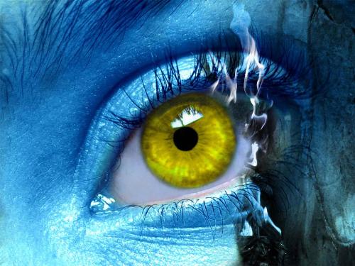 eyes - the eyes