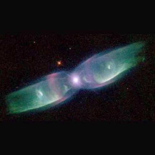 The Butterfly Nebula - The Butterfly Nebula as seen by the Hubble Space telescope