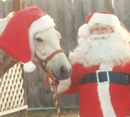 Ho, ho, ho, Merry Christmas! - Santa got a horse this year, the reindeer are on vacation!