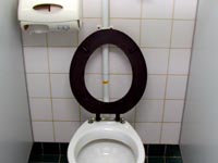 Toilet seat left up! - I think many women can recognize THIS picture! :)