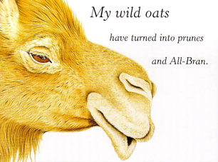 Wild oats - And don't forget the Geritol