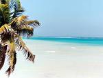 I'd love to go - to the beach!  I love warm weather!  Cold winters drive me crazy!