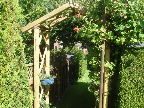 Entrance To My Garden  - The entrance to my garden from the inside, out. Honeysuckle grows around the arch.