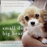 small breed dogs - small dogs
