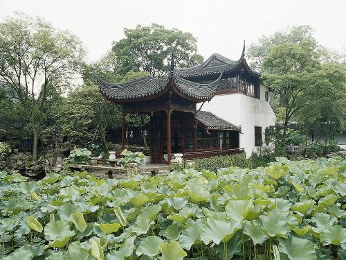 The china's gardens - This is the chinese garden.In china's most famous gardens in su zhou.