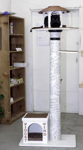 A new home! - Isn't that fantastic! I think my cats would like one too!