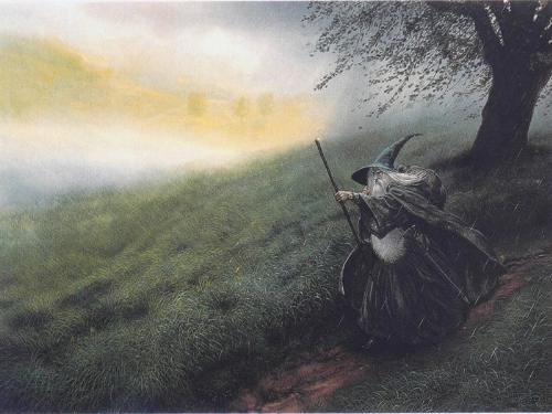 gandalf the wise - a wallpaper of gandalf