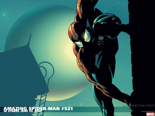 Spiderman wallpaper - my most favourite super hero, spidey =D