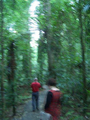 A Walk Through Nature. - My father and I walking through the local National Park a few weeks ago.  photocred: my wonderful boyfriend.