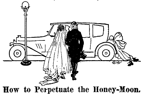 married couples - newly married couples ready for their honey moon married couples - newly married couples ready for their honey moon