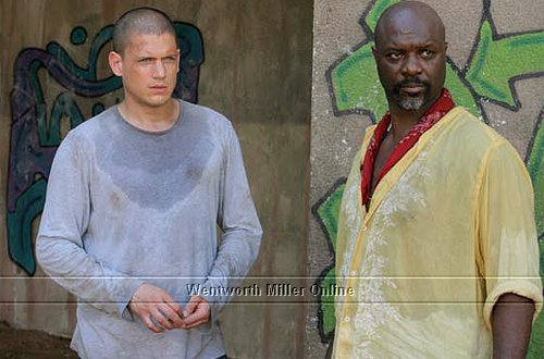 prison break season 3 - prison break s2 picture