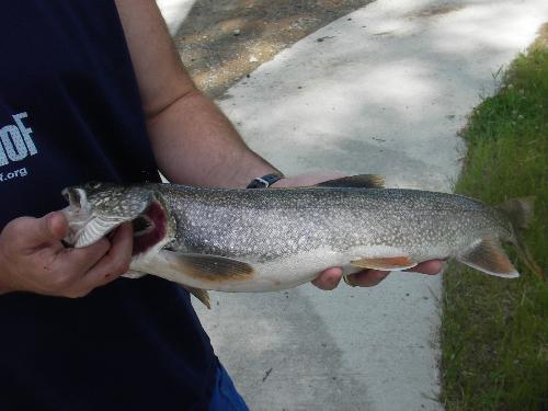 Fishing - Hubby with a mack