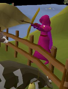 Malyck. - My character on RPG: RuneScape. I took this screen shot yesterday=]
