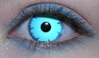 blue eyes - blue eye