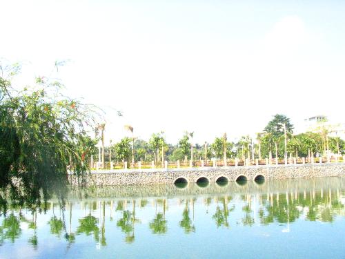 Roads of ZOU - Also the lake and the trees!_::)