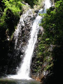 watter fall - another natural scene ....