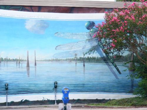 Dragonfly - Drago fly from the Postcard Mural in downtown Lafayette louisiana