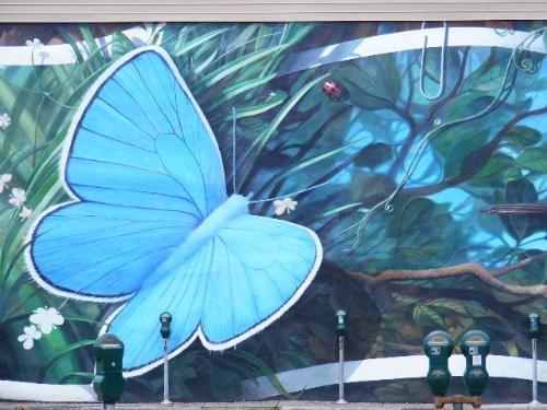 Butterfly - Butterfly as painted on the Postcard mural in downtown Lafayette Louisiana