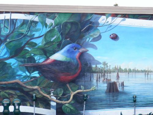Warbler - Warbler as painted on the Postcard Mural in downtown Lafayette Louisiana