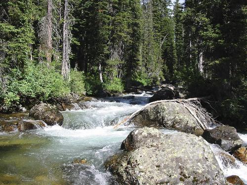 Nature - Nature
