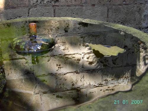 autumn shadows - water reflections