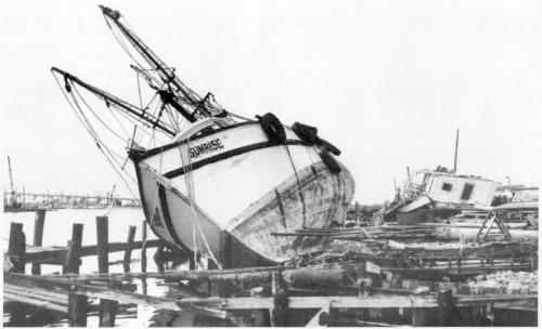 Hurricane Celia damage - 1970 Hurricane Celia Damage in Corpus Christi, Texas