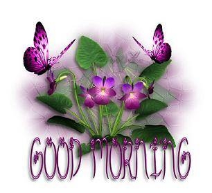 good morning - great picture to greet someone early in the morning