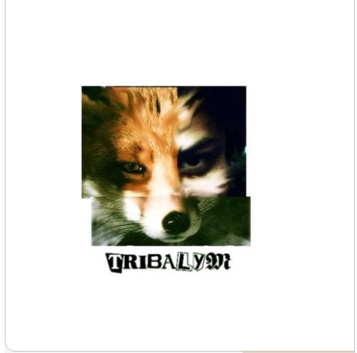 Tribalym Jillian - Half-woman, half-fox, as designed by the fetching Mrs. Gillette.