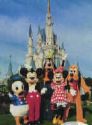 Walt Disney World - walt disney world