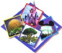 Walt Disney World - theme parks