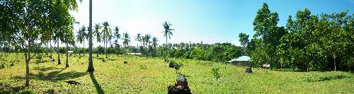 Life in A Farm Mindanao Island Philippines - A picture a farm in Island of Mindanao Philippines. The photo was taken July 2007.