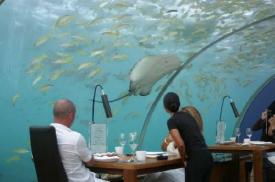 Undersea Restaurant - This is neat!